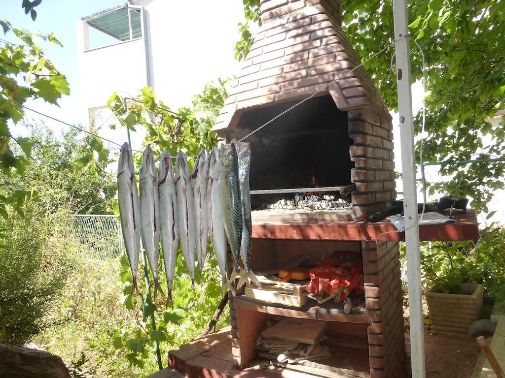 Apartment Zoric Grebaštica Стая снимка